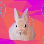 Cruelty-Free and All-Organic Makeup Brands Cruelty - Free and All Organic Makeup Brands Sisterhood Agenda