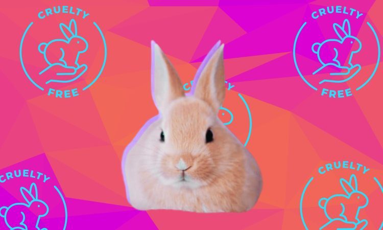 Cruelty - Free and All Organic Makeup Brands Sisterhood Agenda