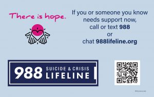 Sisterhood Agenda Youth Suicide