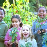 When Partnerships Turn Against the People Our Experience with Baltimore County