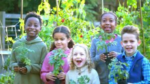 When Partnerships Turn Against the People Our Experience with Baltimore County