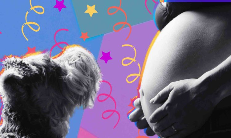 10 Ways to Celebrate the Significance of Motherhood Sisterhood Agenda