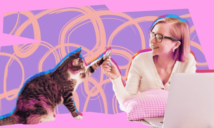 Is Having a Cat Good for Anxiety Sisterhood Agenda