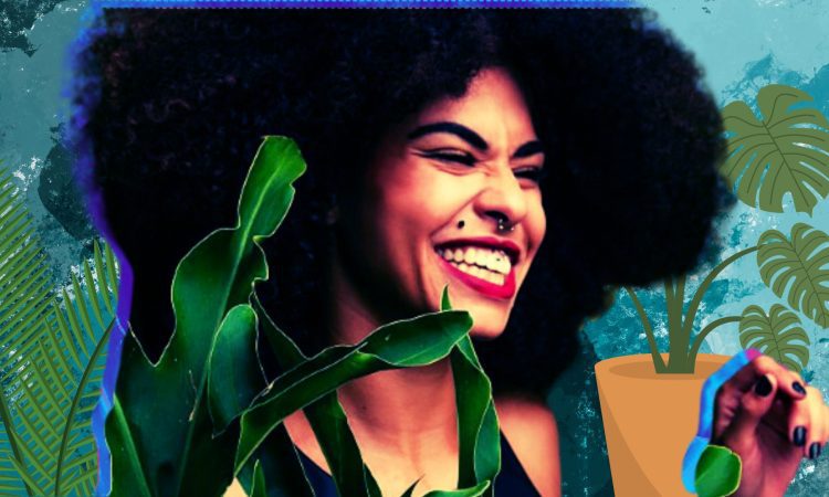 Plant Parenthood Tips for Beginners Sisterhood Agenda