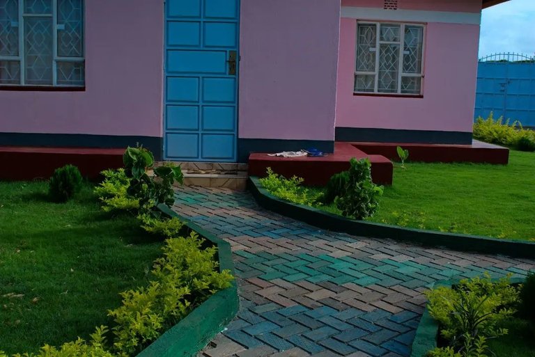 Nzambi Matee Builds Homes with Recycled Plastic Bricks Sisterhood Agenda