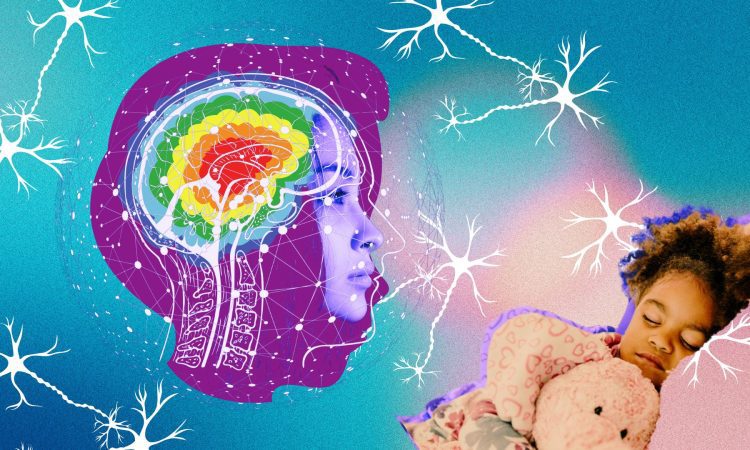 Childhood Adversity May Damage Brain Sisterhood Agenda